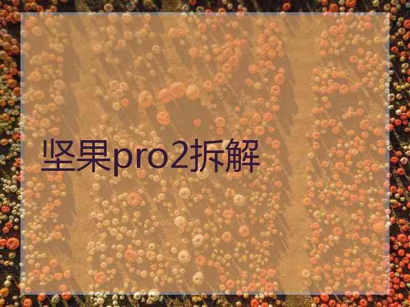 坚果pro2拆解